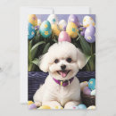 Recherche de bichon vœux cartes Fleurs