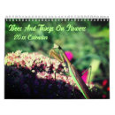 Recherche de fleurs calendriers Nature