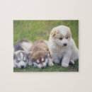 Recherche de race de chien puzzles Unité