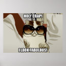 Recherche de lolcats posters Internet