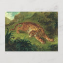 Zoek naar slangen briefkaarten Wild