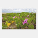Recherche de kauai autocollants Plage