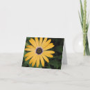 Zoek naar madeliefje kaarten Helder