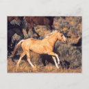 Recherche de ponderosa posters Ferme