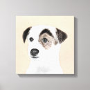Recherche de jack russel toiles Terrier