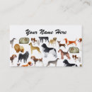 Recherche de races cartes visite Animaux