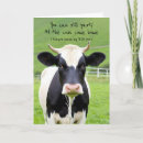 Recherche de vache holstein vœux cartes Pâturage