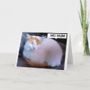 Recherche de personnes de chat vœux cartes Toute personne