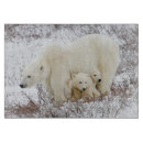 Recherche de ours planches à découper Arctique
