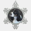 Recherche de épagneul springer anglais maison deco Sauteur