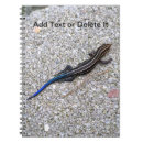 Recherche de reptile photographie Sauvage