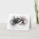 Recherche de velu vœux cartes Chien