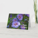 Zoek naar hibiscus kaarten Floreel