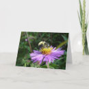 Recherche de gaffez photographie Fleur
