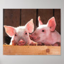 Recherche de porc rose art Animal de ferme