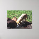 Zoek naar wolven canvas prints Grijs