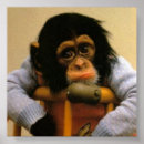 Recherche de effronté posters Singe