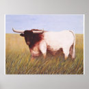 Recherche de longhorn du texas posters Occidental