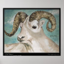 Recherche de dall posters Mouton