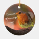 Recherche de oiseau rouge ornements Festif