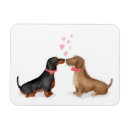 Zoek naar gay magneten Schattig