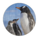 Recherche de habitat planches à découper Faune