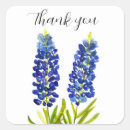 Recherche de capot autocollants Texan