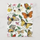Recherche de entomologie cartes postales Jardin