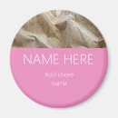 Recherche de fonctions magnets Amusant