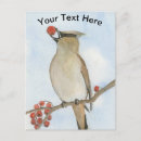 Recherche de jaseur cartes postales Nature
