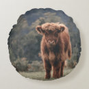 Recherche de altitude coussins Vache