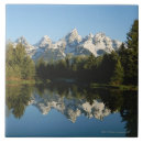 Recherche de teton grand carreaux Nature