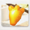 Zoek naar vos elektronica Vrolijk