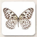 Recherche de photos papillons de dessous de verres Animaux
