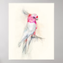 Zoek naar cockatoo kunst Vogelkunst