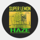 Zoek naar hazen stickers Haas