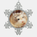 Zoek naar hamsters ornamenten Schattige hamster