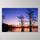 Recherche de faune posters Environnement