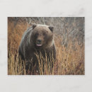 Recherche de denali posters Bleuet