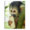 Recherche de primates carnets Singe
