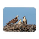 Recherche de enfant sauvage magnets Bleu