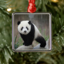 Recherche de chengdu maison deco Panda