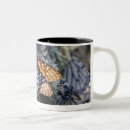 Recherche de papillons de monarque tasses Dehors
