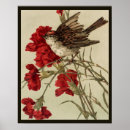 Recherche de oiseaux chanteurs posters Pour tous