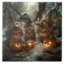 Recherche de chatons carreaux Toute personne