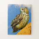 Zoek naar roofvogels puzzels Oehoe