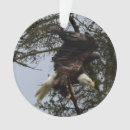 Zoek naar eagle ornamenten Juneau