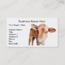 Recherche de vétérinaire ferme cartes visite Ranch