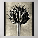 Recherche de karl posters Vintage