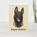 Recherche de malinois vœux cartes Animal